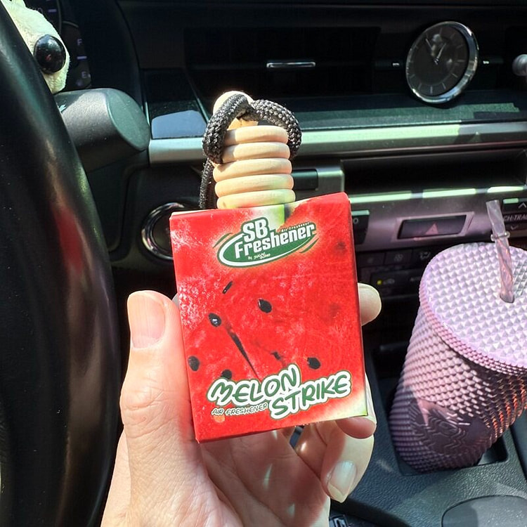 Watermelon-Scented Car Essential Oil Diffuser 1 count