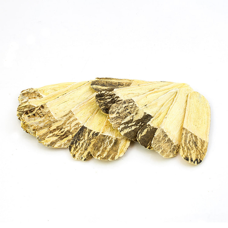 Astragalus Sliced / Huang Qi 6 oz 1 each