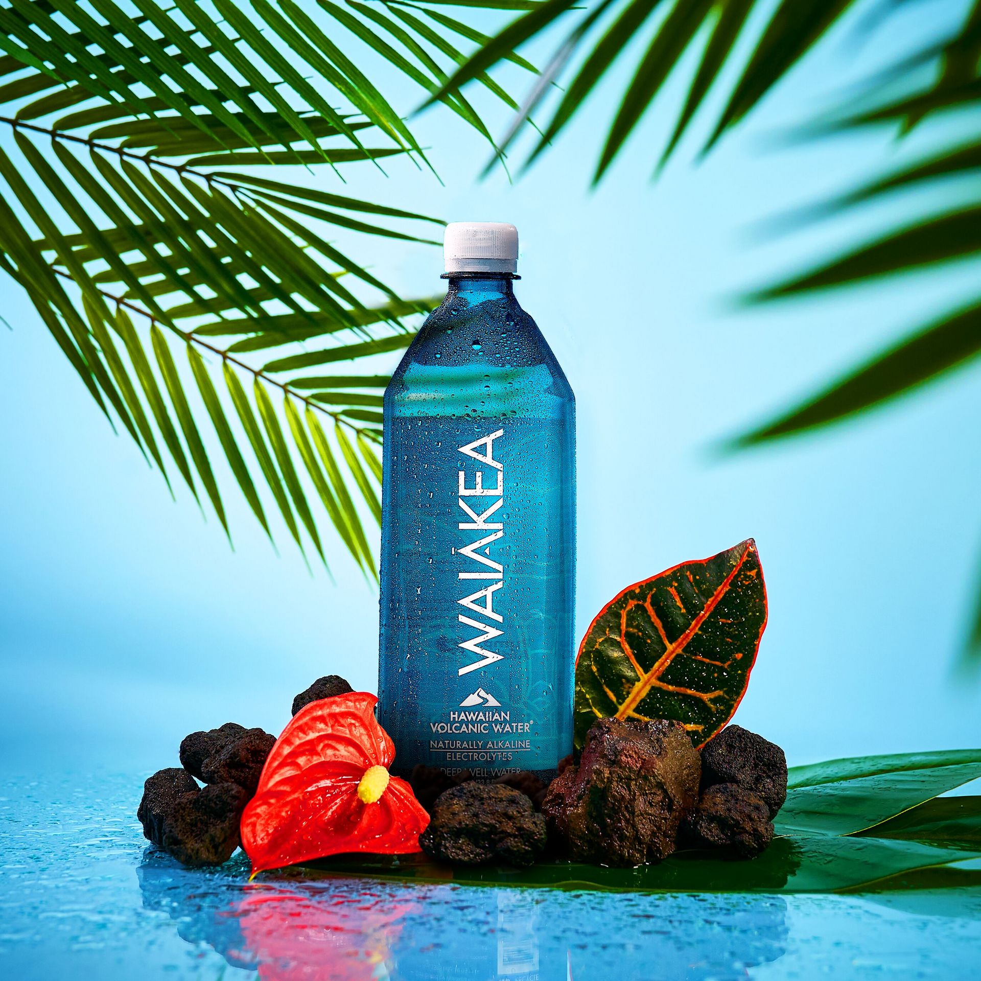 Waiakea Hawaiian Volcanic Water 1 Liter 12 Pack 1 each