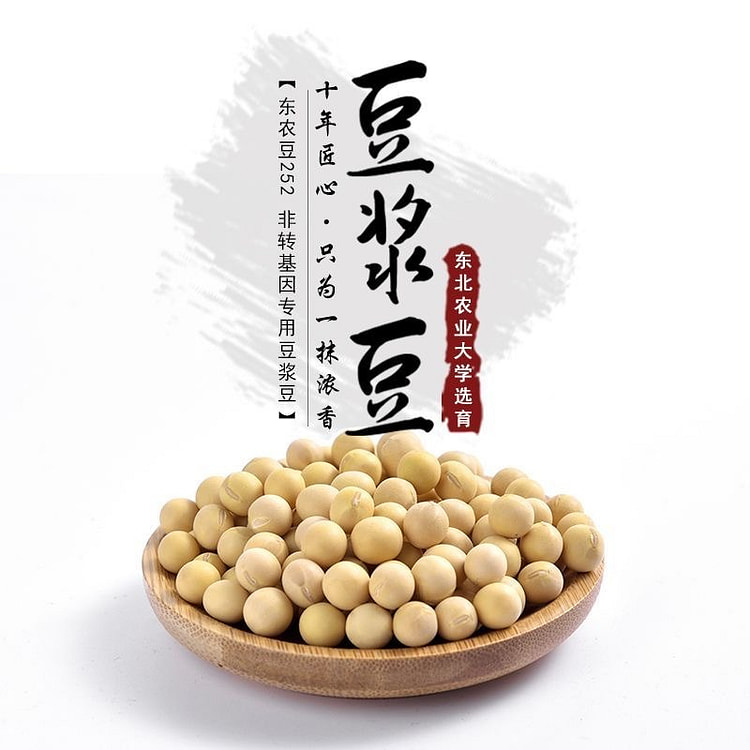 非转基因打豆浆专用豆 有机黄豆  1袋