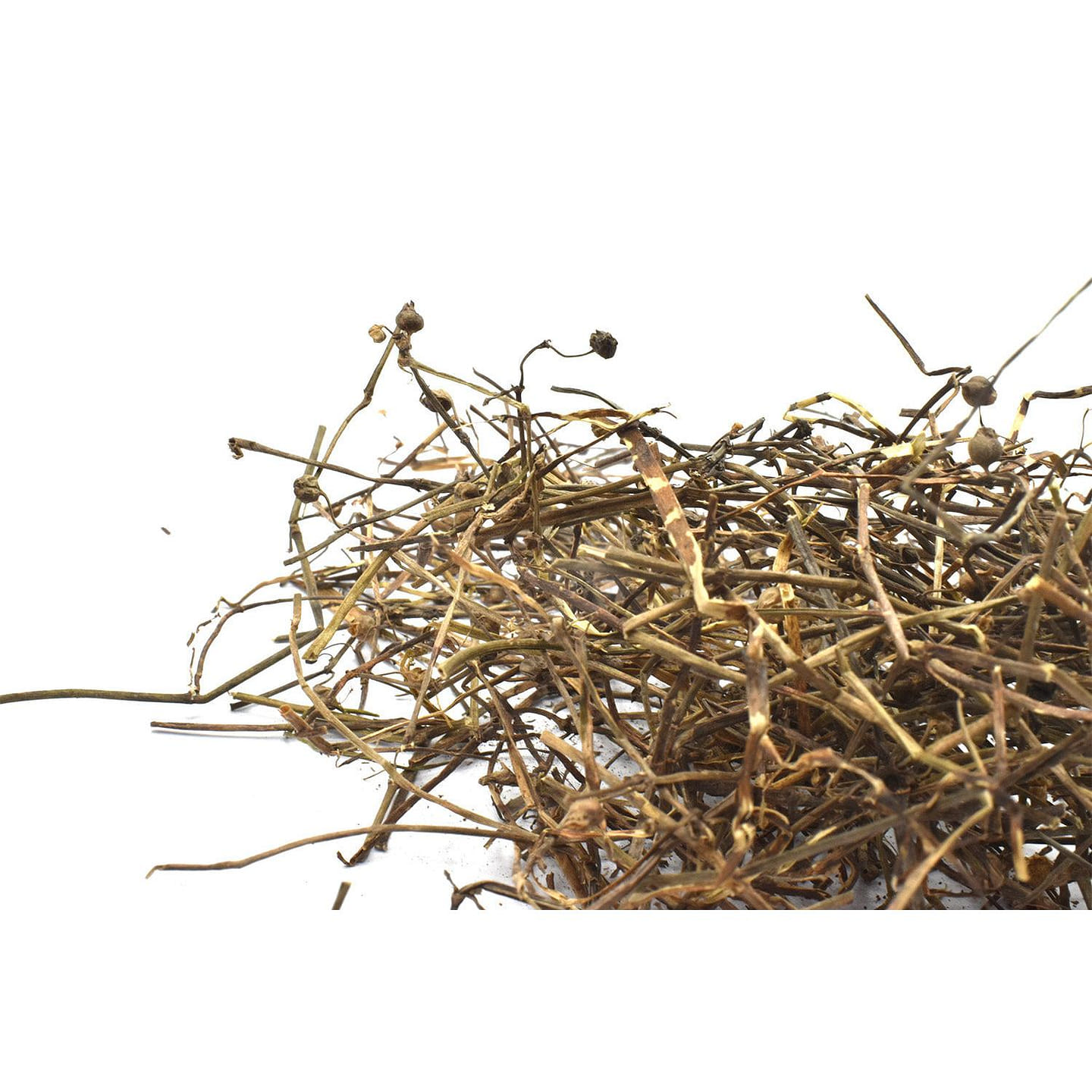 BAI HUA SHE SHE CAO - Snaketongue Grass Herb - custom amount 1lb 1 each