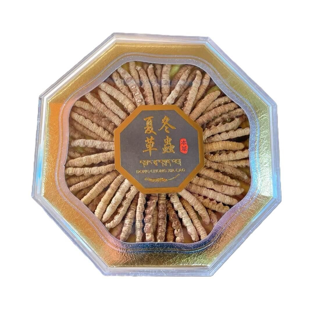 Wild Cordyceps Large Size (1 oz) 1 oz
