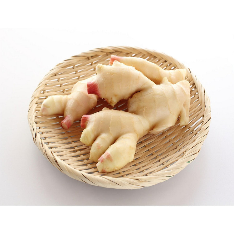 土佐山生姜 100g