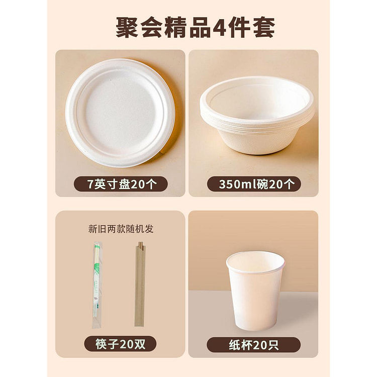 【圣诞春节聚会】一次性餐具80只 一套搞定