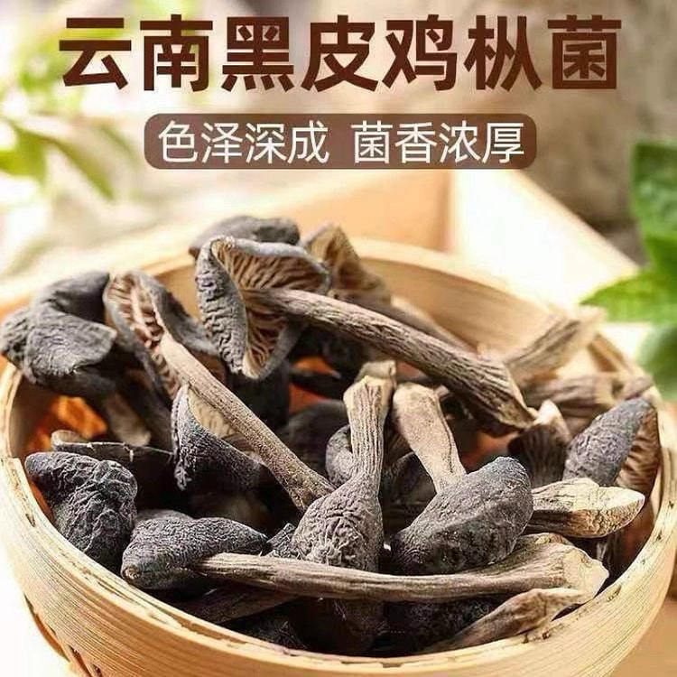 云南黑皮野生鸡枞菌干货 新鲜蘑菇煲汤 1袋