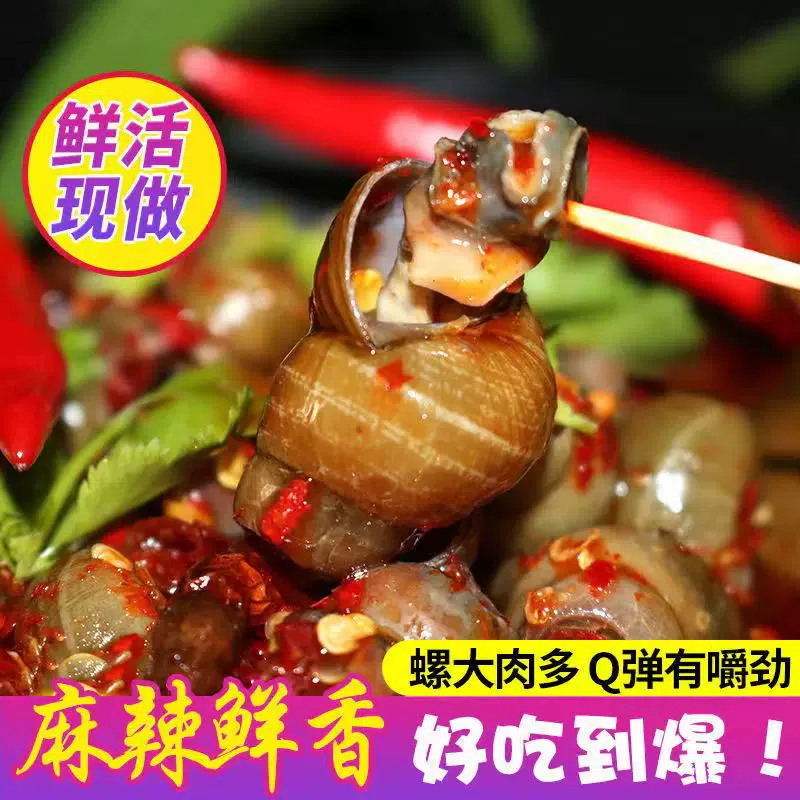 Spicy snail delicatessen screw meat 8090 nostalgic snacks 500g *1 can 500 g