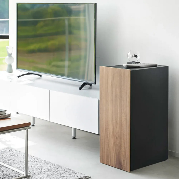 Video Game Storage Cabinet - Steel Black