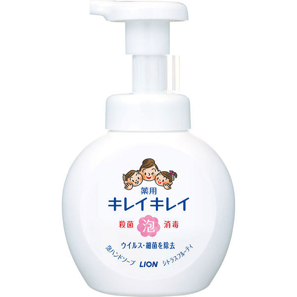 LION Antibacterial Hand Soap Citrus 250ml 1 each