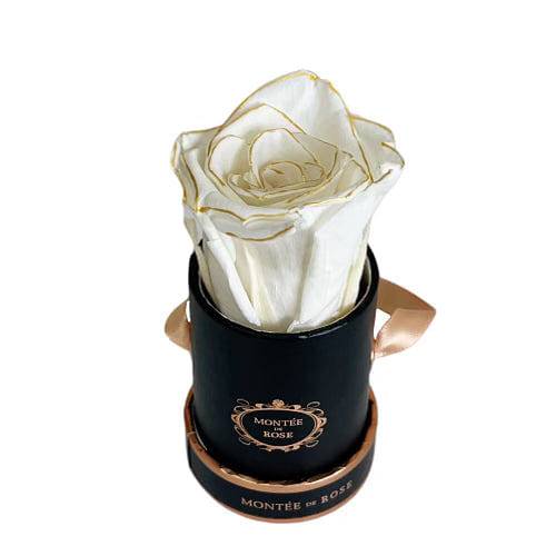 Gold Pearl in Black Round Mini 1 each