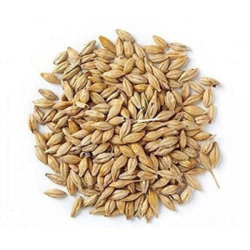 Classic Barley (Jav) Whol 100 g