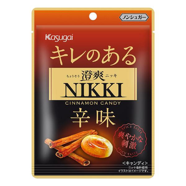 Kasugai Mints Cinnamon Flavor 37g 1 each