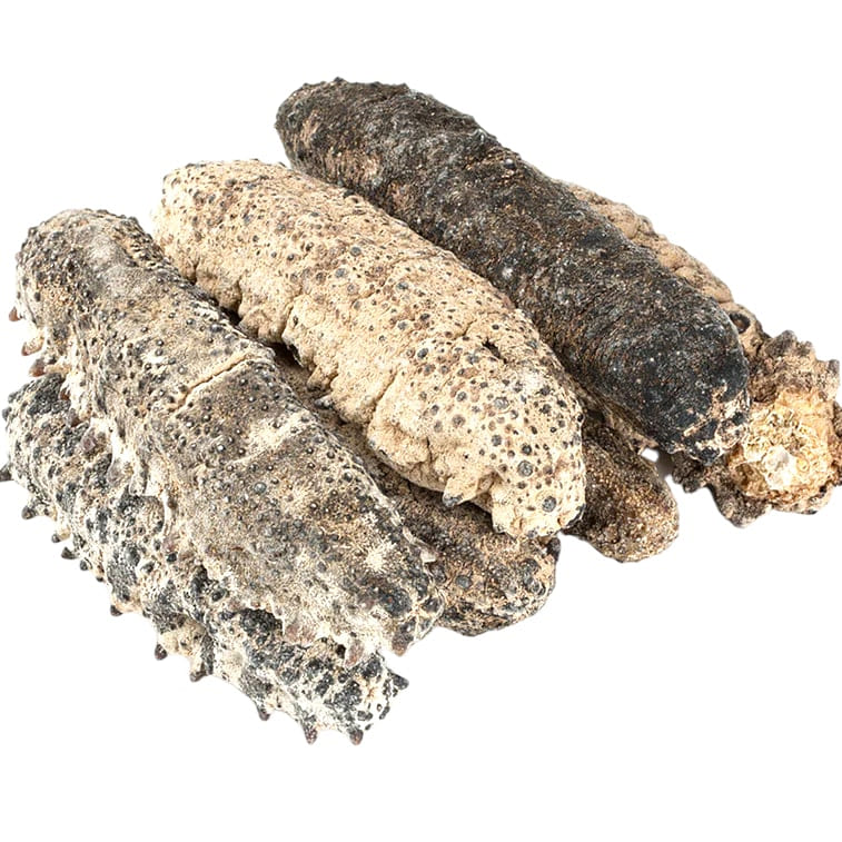 HMT South America Mexican Sea Cucumbers Dried 200g Shuang Pai 1 each