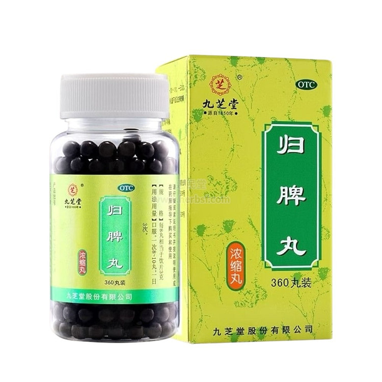 Gui Pi Wan 360 Concentrated Pills