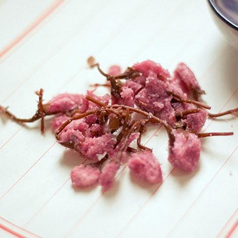 NestLady 日本塩漬け桜茶 深い保湿 缶入り 70g - Weee!