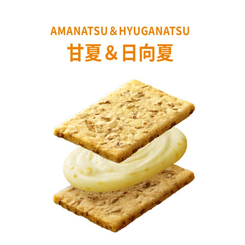 Citrus flavored meal replacement biscuits 4 pieces - Weee!