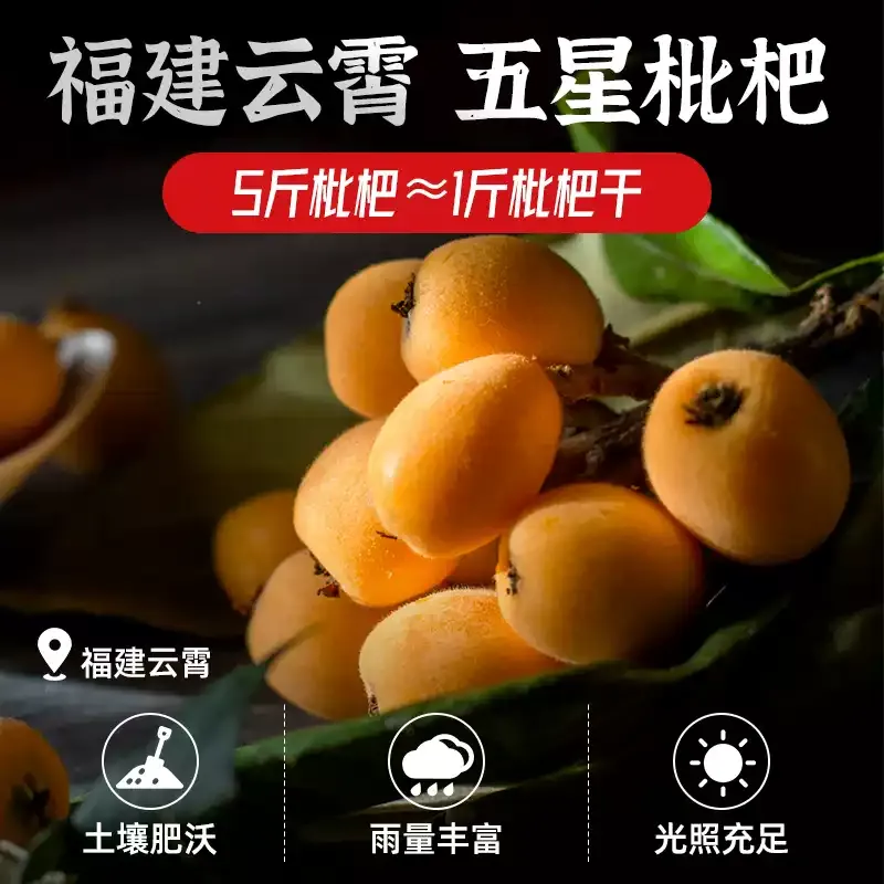 竹盐无核枇杷干正福建特产纯云霄蜂宗琵琶干果脯原味250g - Weee!
