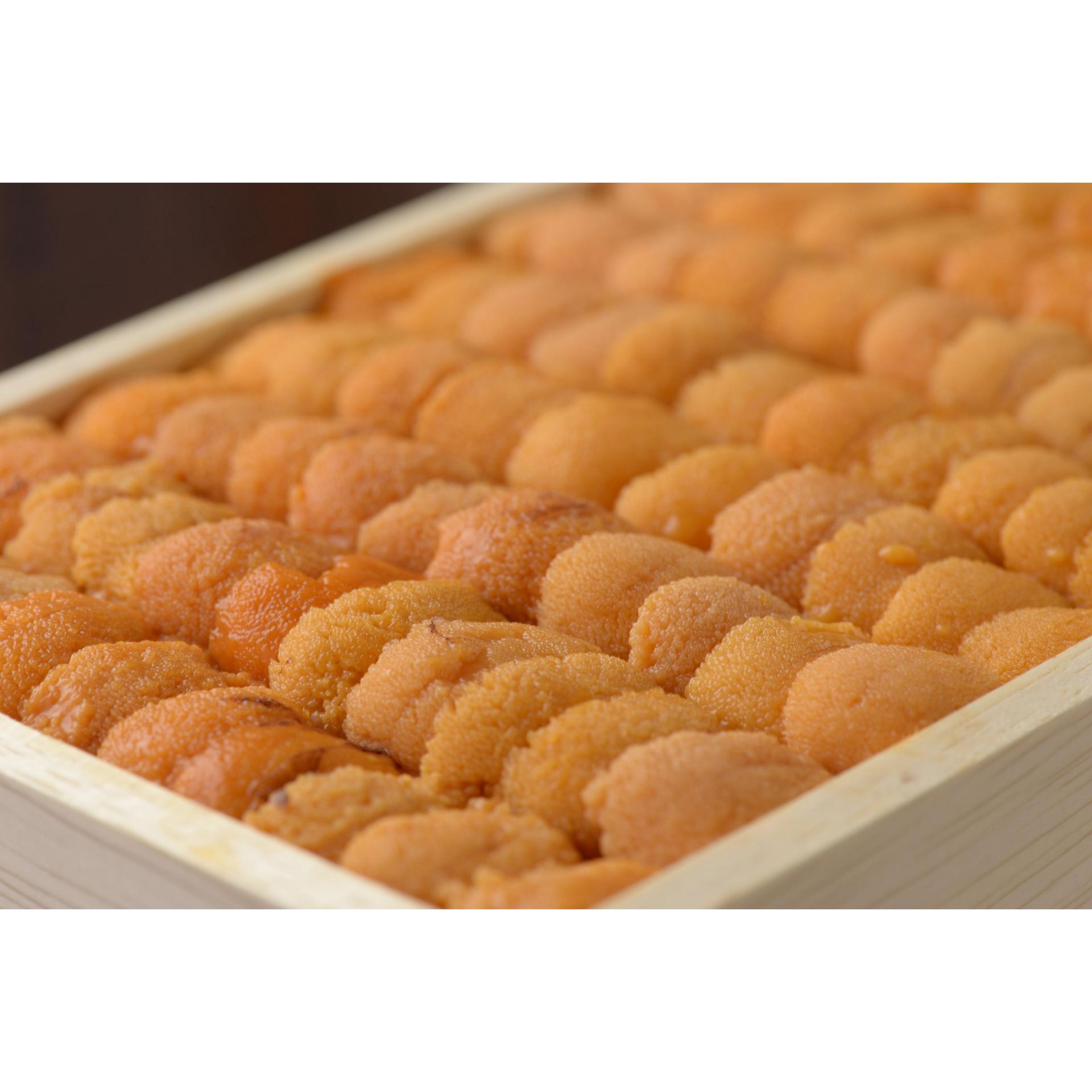 AA Hokkaido Uni "Ogawa" Narabi 250g 1 개