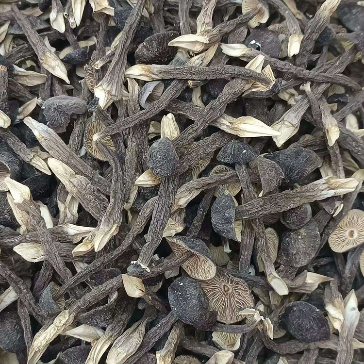 小鸡枞菌，小号干菇，营养丰富的干菇类食品