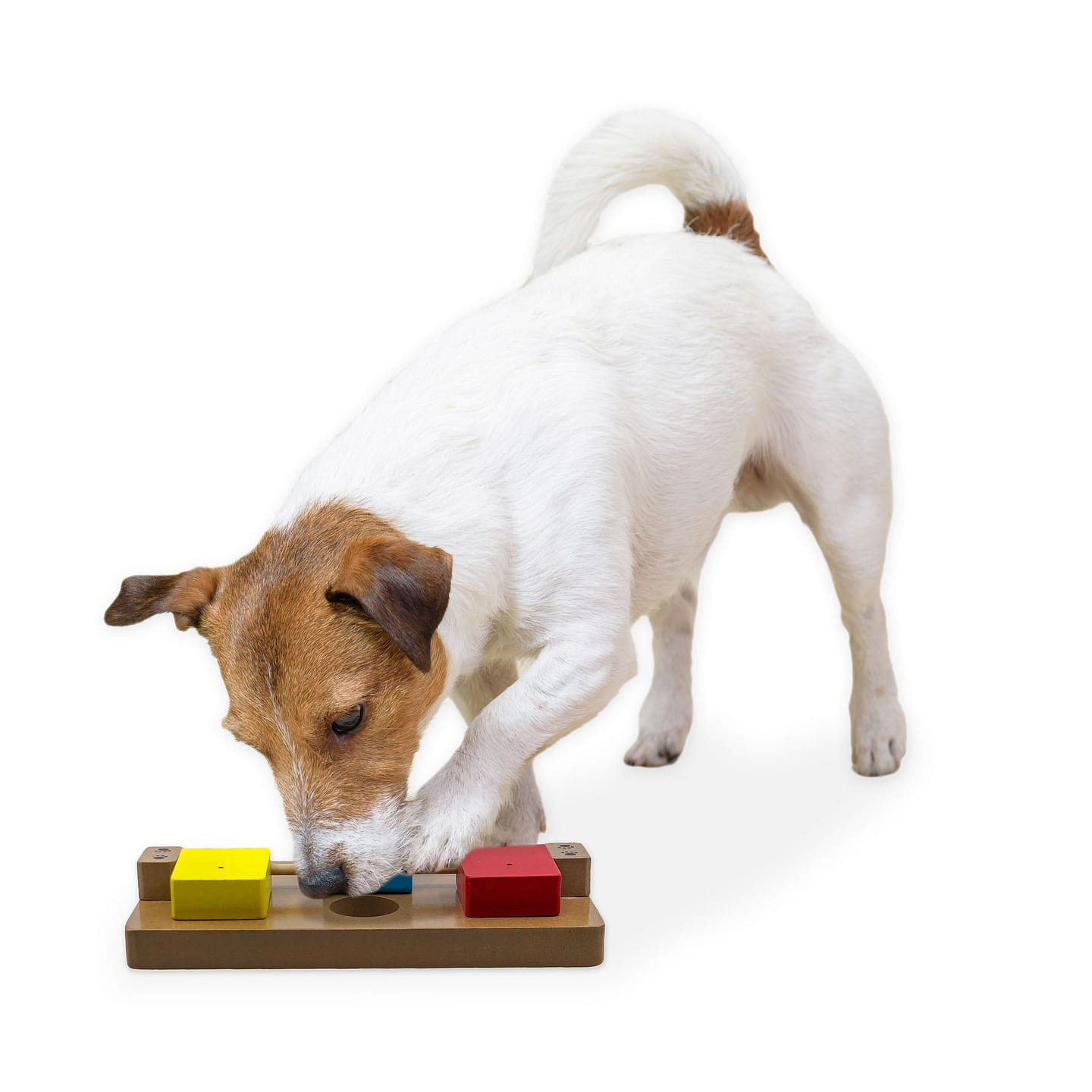 Brainiac Flip-Flop-Fido Treat Dispensing Pet Toy 1 each