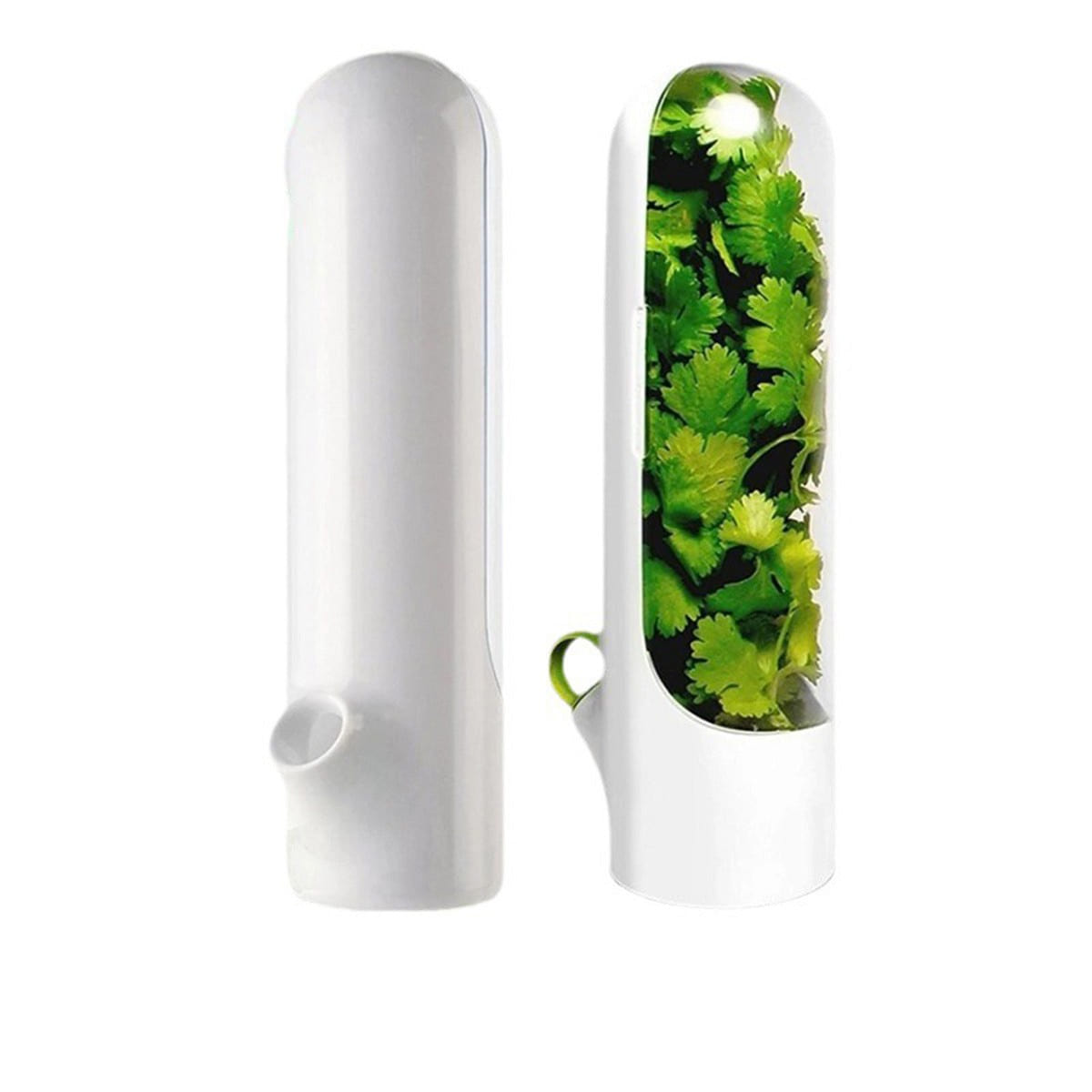 Herb Saver for Cilantro & Onion White 1 each