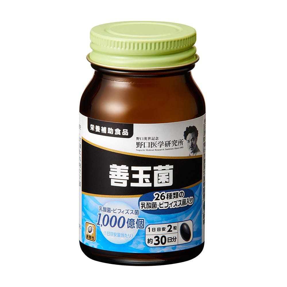 Noguchi Shanyuji Capsules 60 Capsules 1 each