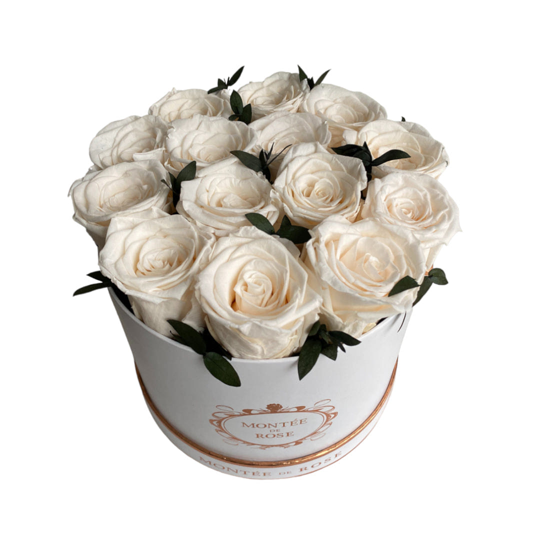 Forest White Medium Round Cream 1 each