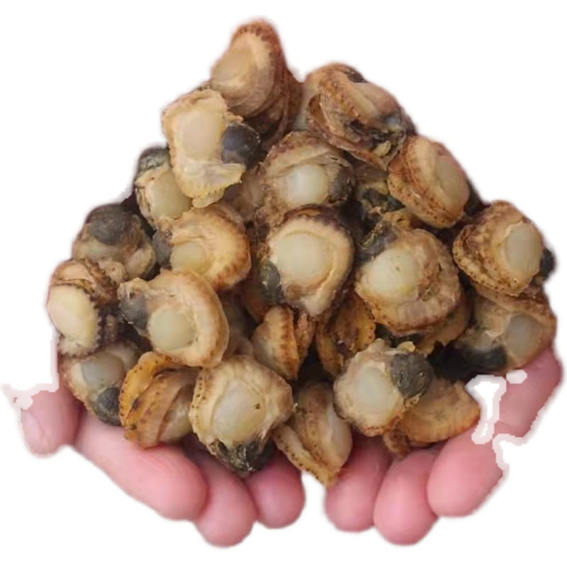 水产海鲜贻贝干货50g*1袋 50 克