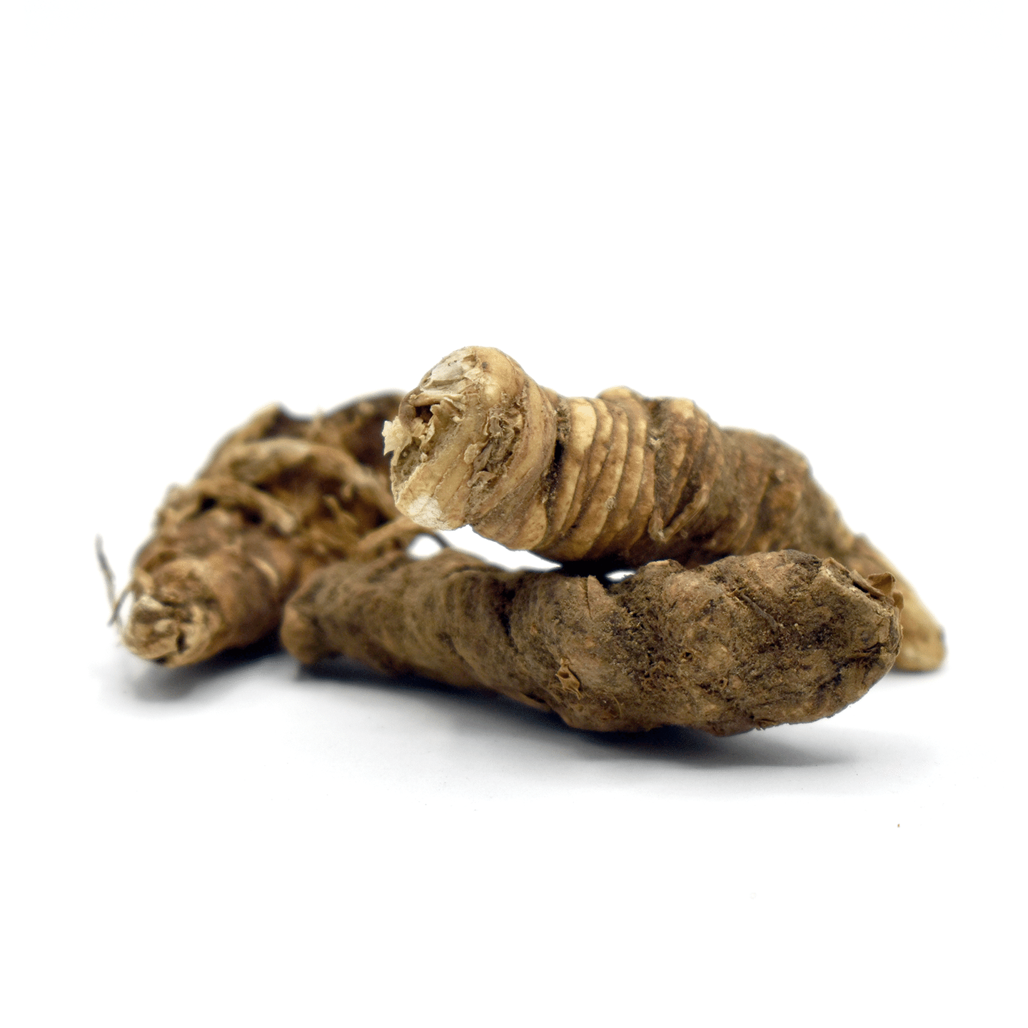 ZAO XIU – Paris Rhizome – Custom Amount 1lb (454g) 1 each