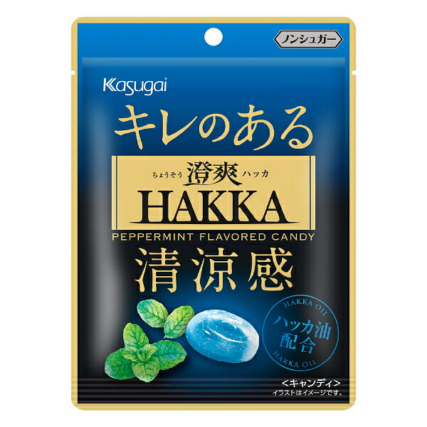 Kasugai Xylitol Sugar Mint Flavor 37g 1 each
