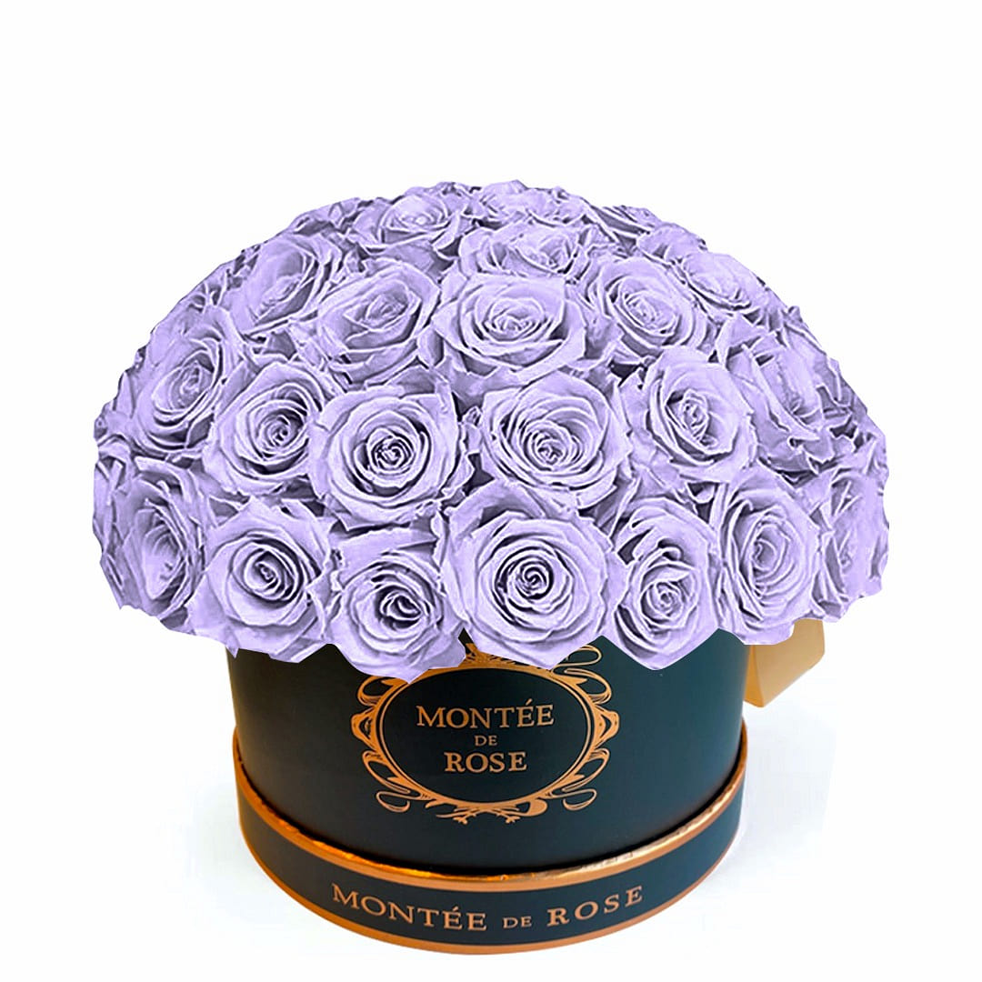 Black Medium Dome Light Purple 1 each