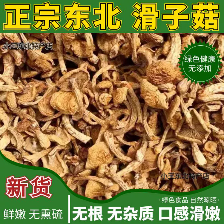 东北特产滑子菇滑子蘑菇干货新货1袋
