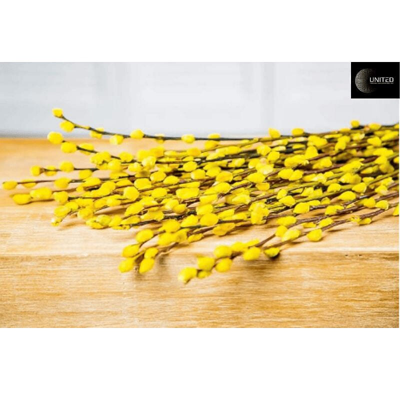 Pussy Willow l Nu Tam Xuan (Yellow, 48 inches) 1 lb*20 counts