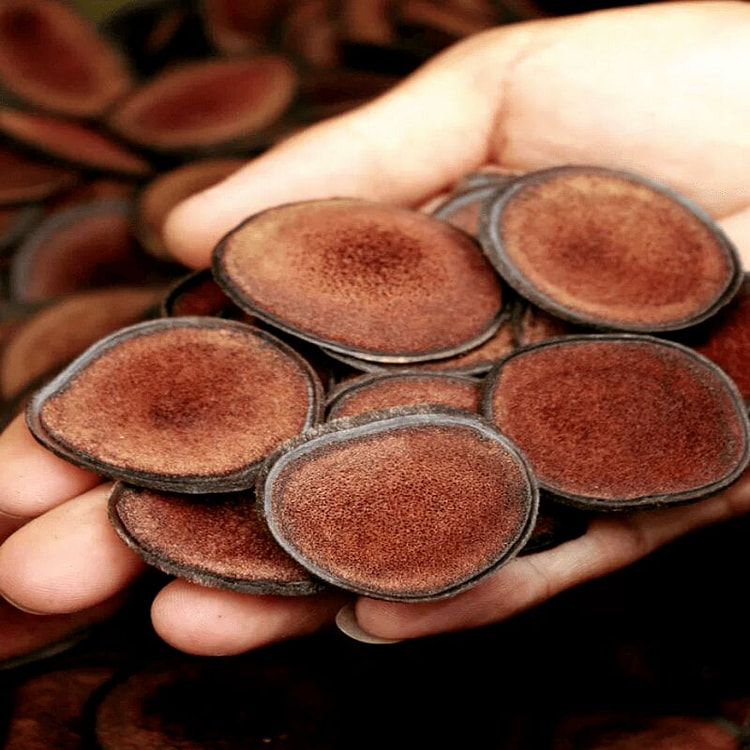 吉林鹿茸片红粉鹿茸片梅花鹿马鹿茸 20 克