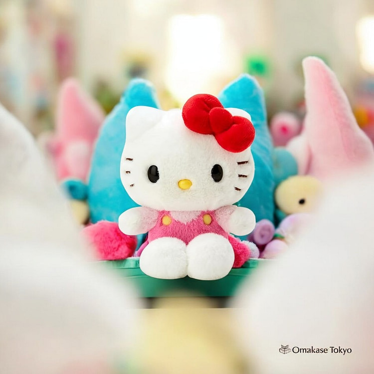Sanrio Hello Kitty Plush-SS Size 80 g