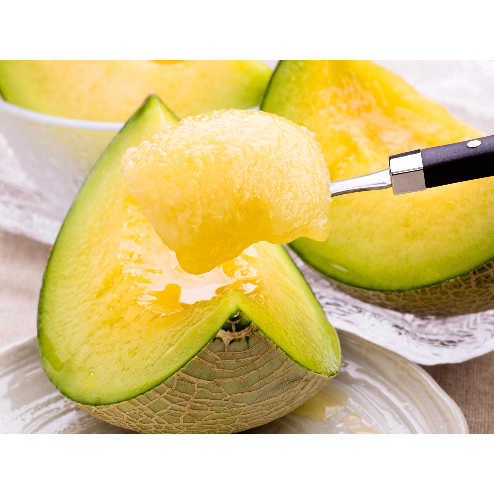 Premium Grade Japanese Musk Melon 600g Weee!