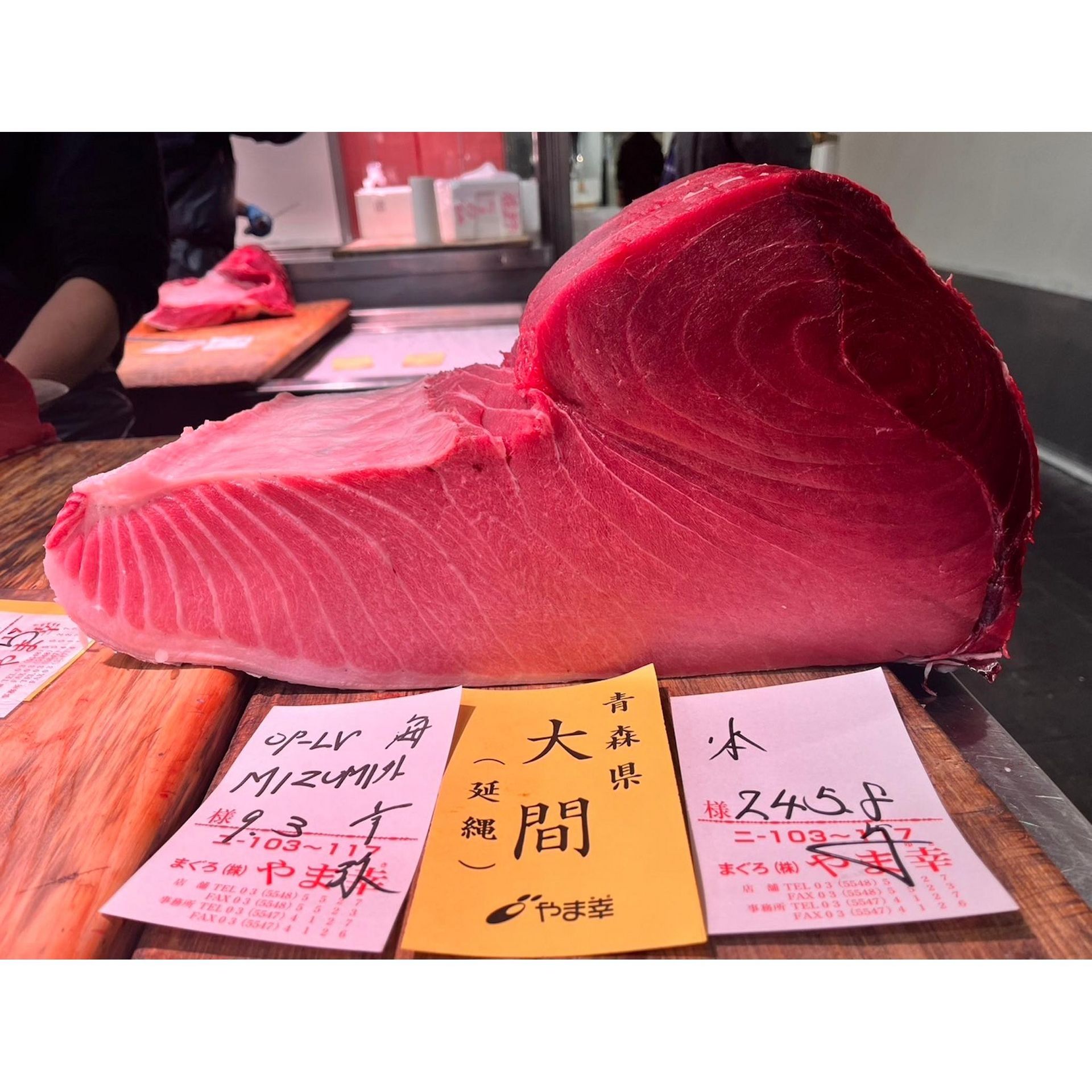 蓝鳍金枪鱼“Yamayuki”腹肉 10 磅 1 份
