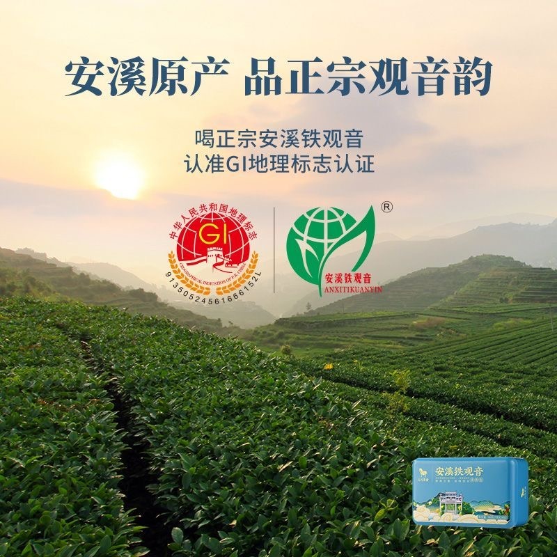 八馬茶業福建安溪鐵觀音鮮爽蘭香清香撲鼻茶葉98 克- Weee!