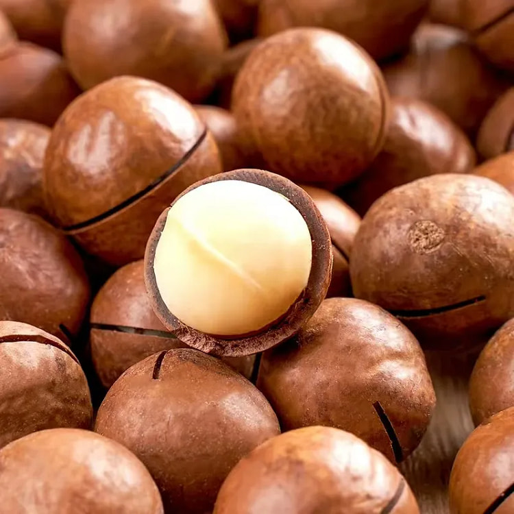 Macadamia Nuts 250g*1Bag 250 g