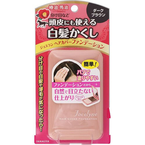 Hair Cover Foundation 13 g