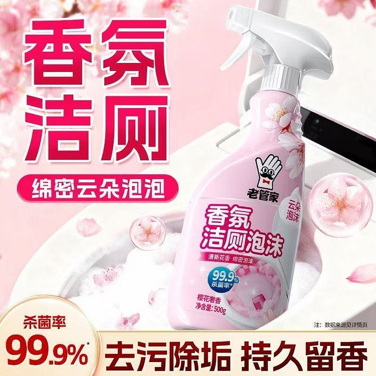 老管家 香氛洁厕泡沫 1瓶 500 克