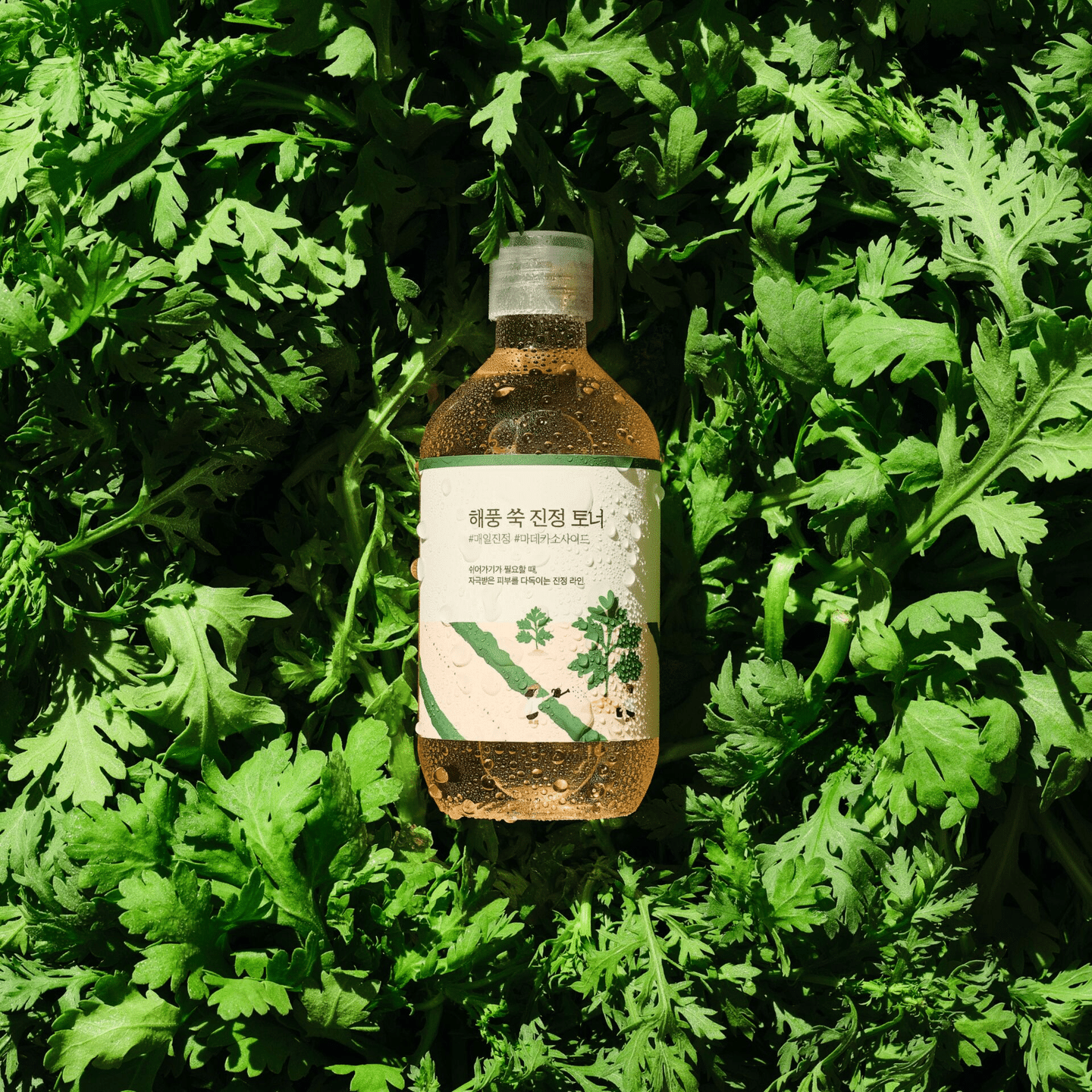 Round Lab Mugwort Calming Toner | Artemisia, Soothing, Calming, Sensitive, 爽膚 385 克