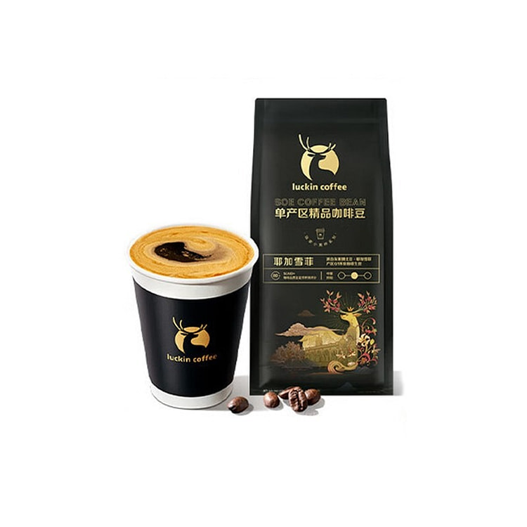 Yirgacheffe Coffee Beans Medium Roast 250g 250 g