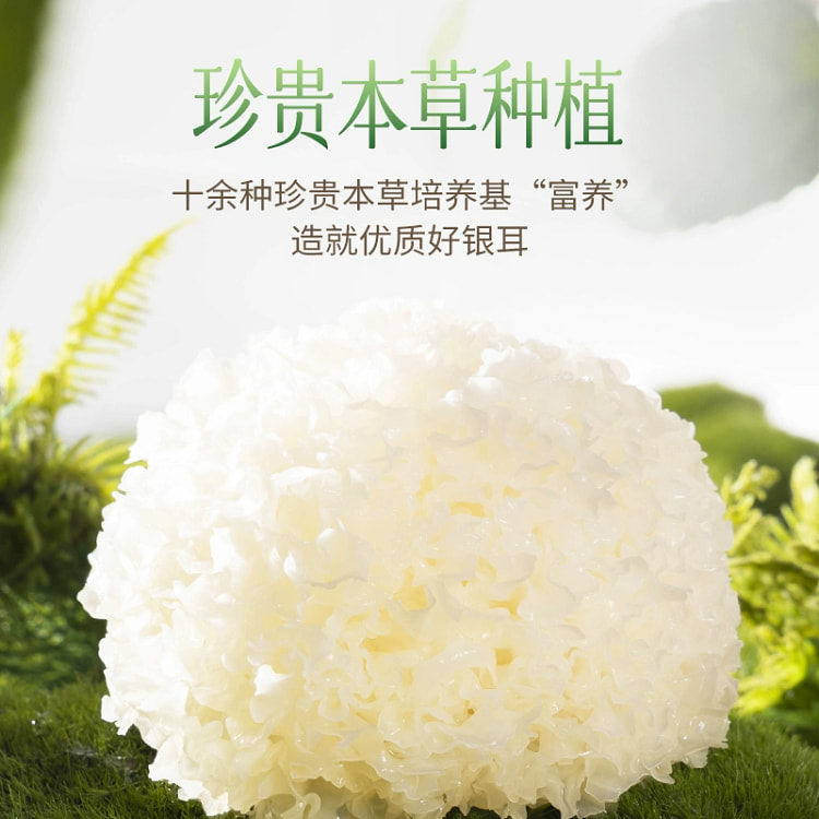 燕之坊古田本草银耳干货碎糯耳免洗银耳羹冲泡即食30g*1