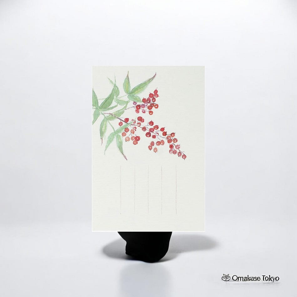 Medetaya Seasonal Postcard-Winter South Sky 20 g