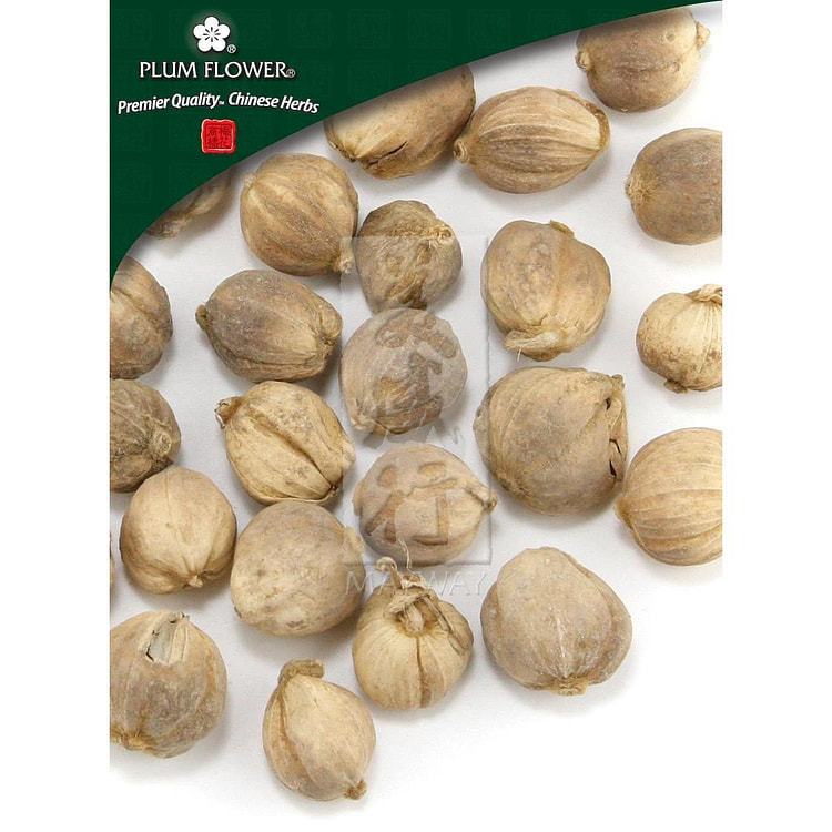 Bai Dou Kou, unsulfured Amomum kravanh fruit