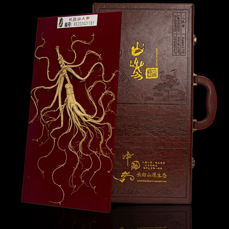 Changbai Mountain Wild Ginseng Whole Root *1 15 g