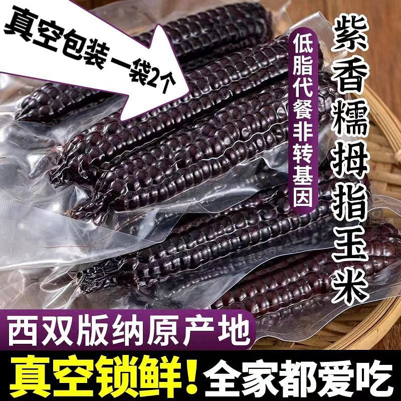 【西双版纳】紫金拇指小玉米 云南特产 新鲜甜糯 皮薄肉嫩 500g*1袋 500 克
