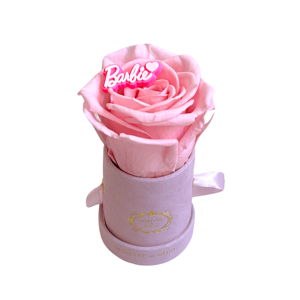 Barbie Girl Pink Mini Suede Round Box 1 each