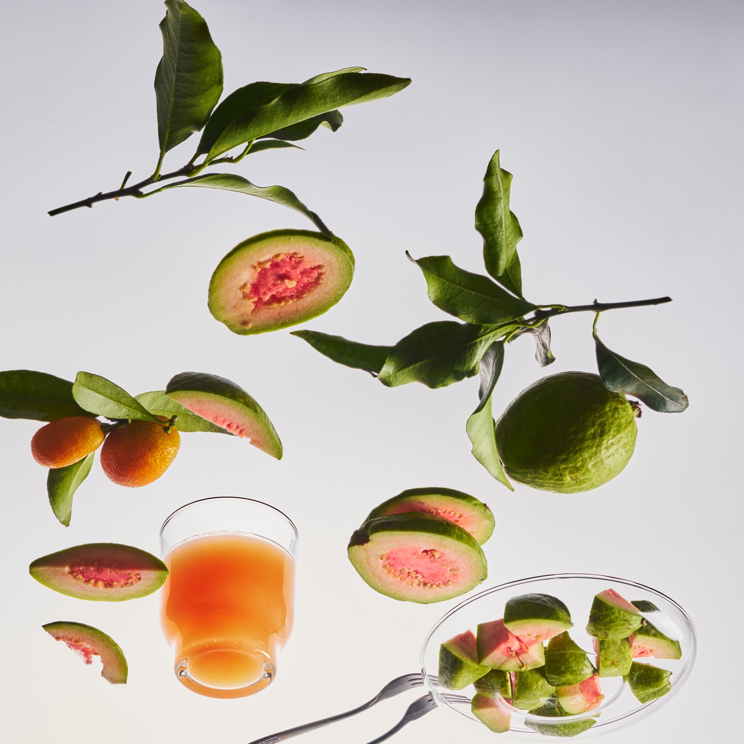 Calamansi Guava Candle Jar 1 each