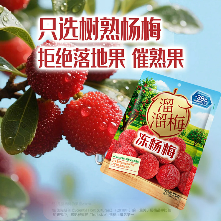 溜溜梅 冻杨梅